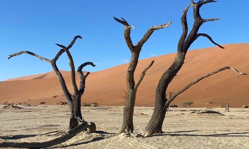 Putování jižní Namibií