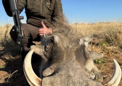 Lovecká sezóna 2025 / Hunting season 2025