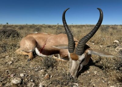 Lovecká sezóna 2025 / Hunting season 2025