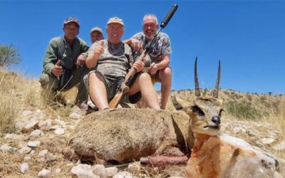 Skálolez skákavý – drobný, ale výjimečný úlovek